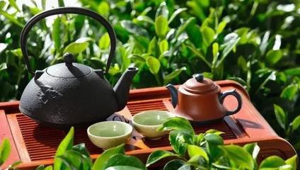 春茶上市，辦公桌上的那一杯，是“真香”還是“套路”？幾招教你輕松辨別